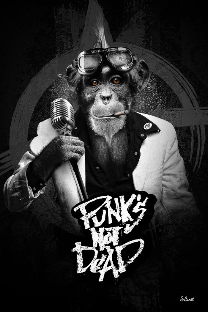 Punk is not dead - PapaPaper